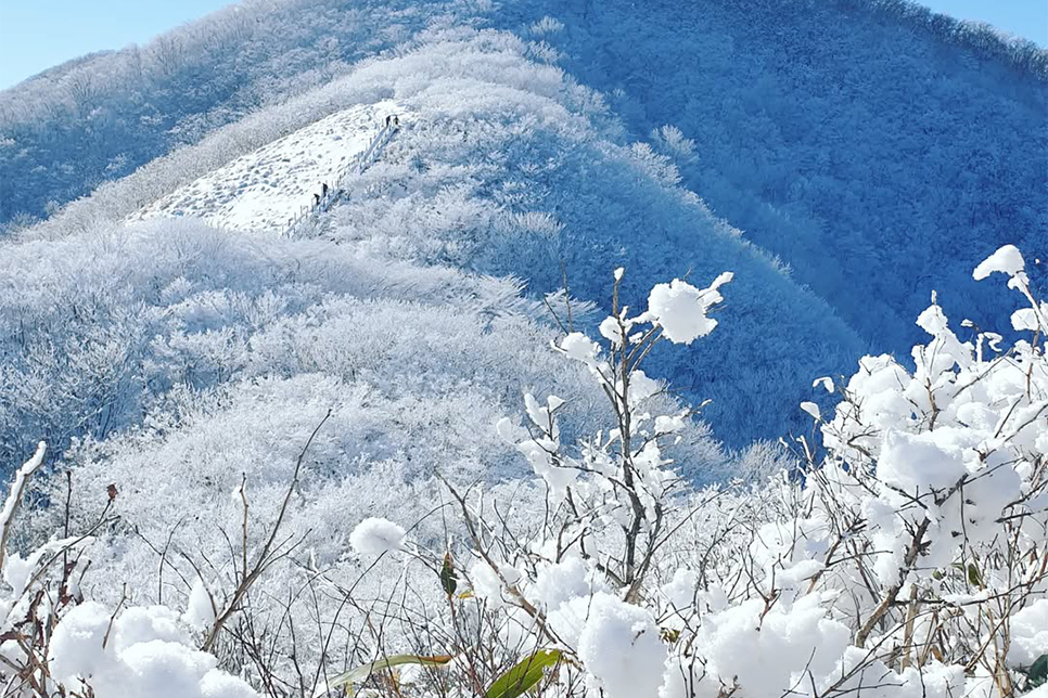 전북천리길 장수 장수(장안산) 마실길 사진 4
