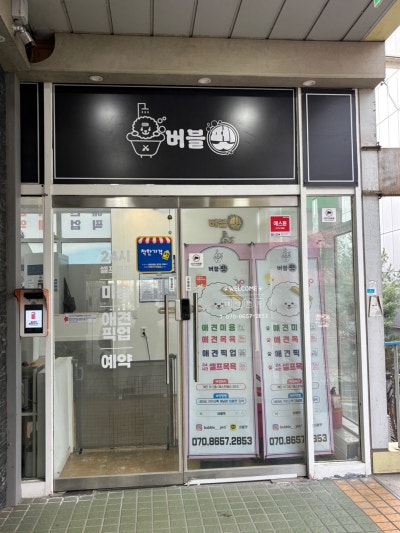 사진 6