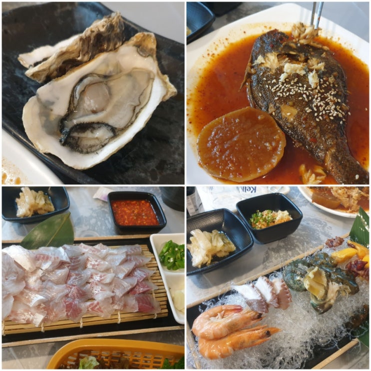 창원 회 맛집 추천 도계부부횟집