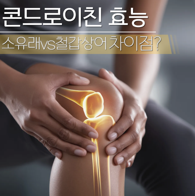  콘드로이친1200 효능 콘도로이친