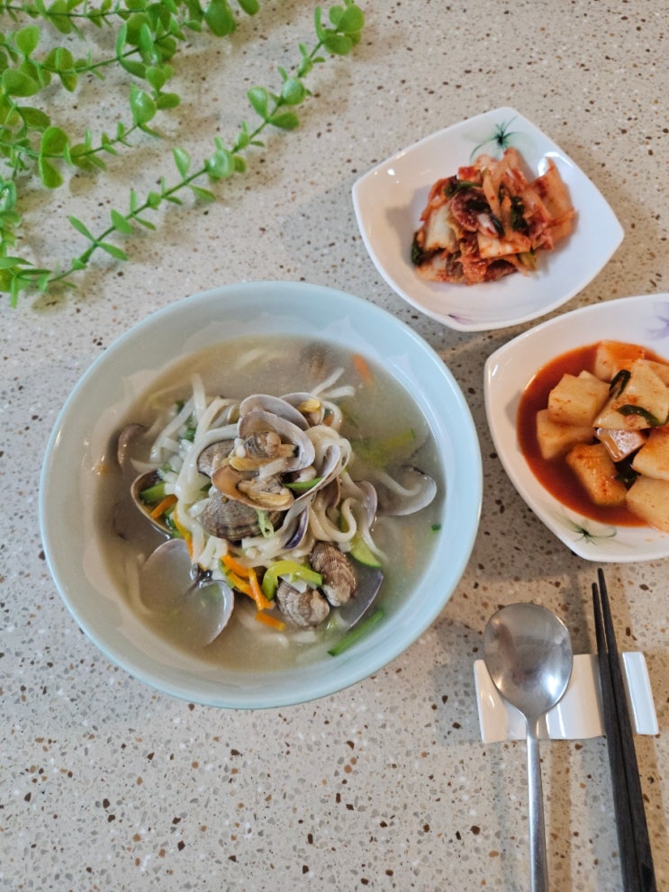  [참바지락 전문 삼해수산] 서해안 국산 100% 칼국수용 세척 해감 참 바지락, 맛있게 즐기는 찐 바지락 요리
