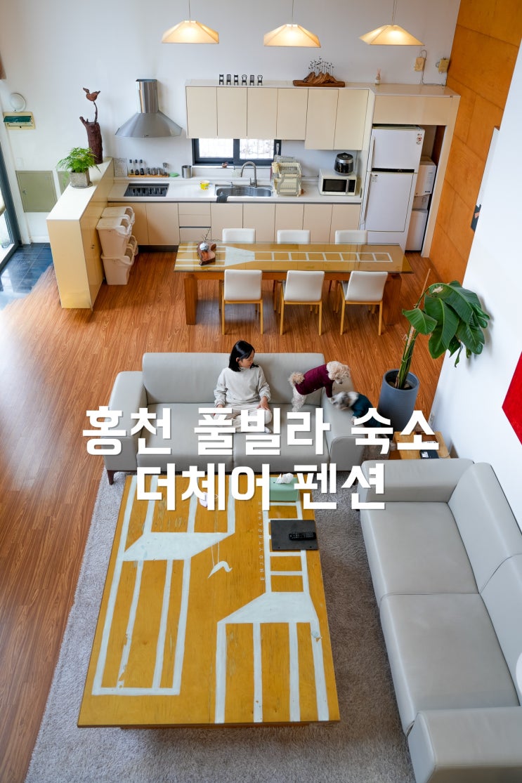  강원도 홍천 풀빌라펜션 더체어 애견동반 여행 숙소