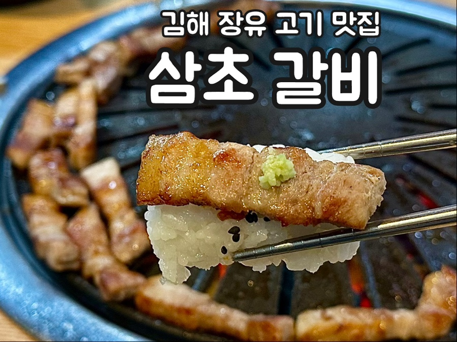 Samchogalbi photo 1