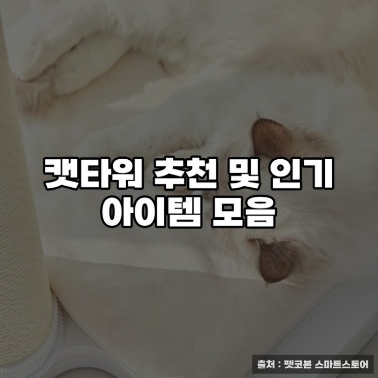 캣타워 추천 및 인기 아이템 모음