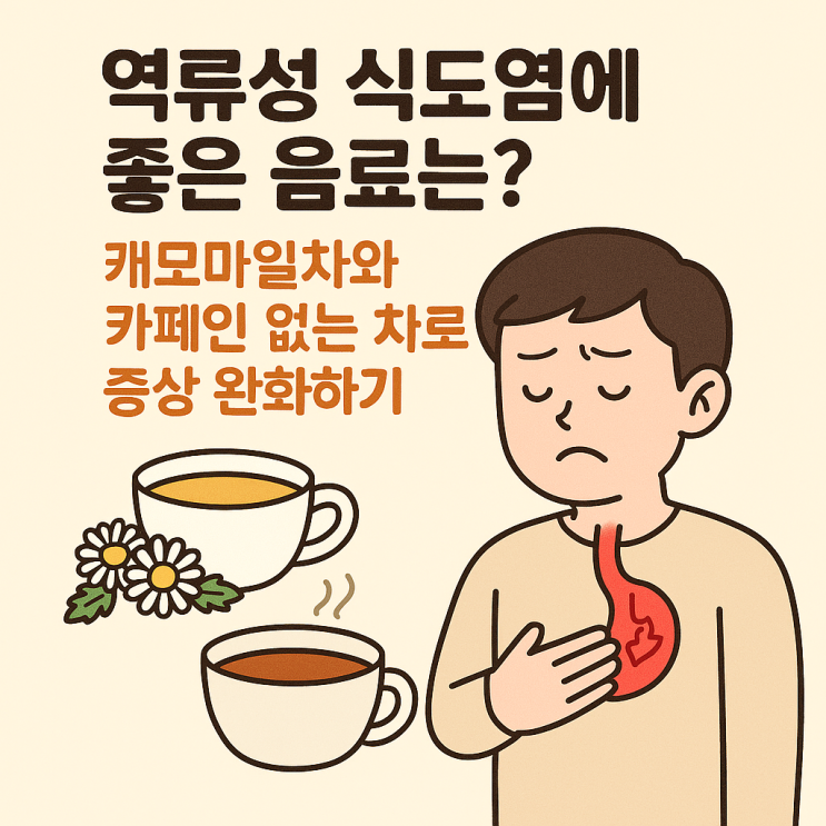  역류성 식도염에 좋은 음료는? 캐모마일차와 카페인 없는 차로 증상 완화하기