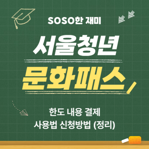 서울청년문화패스 한도 내용 결제 사용법 신청방법 (정리)
