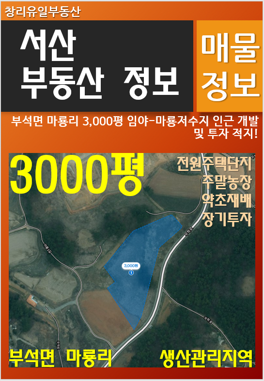 마룡저수지 사진 1