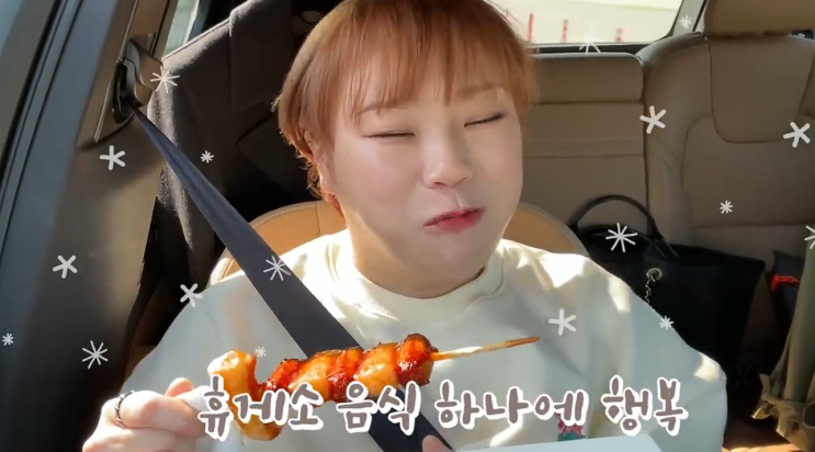 입짧은햇님, '<b>나비약</b>' <b>논란</b>에 활동 전면 중단..."운동으로... 