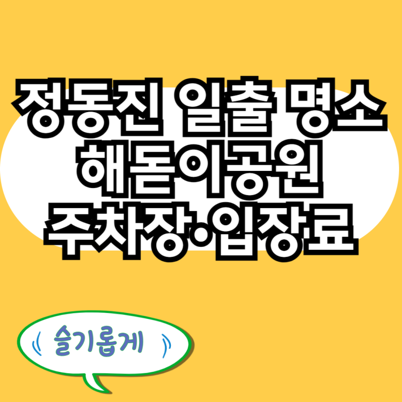 정동진 일출 명소 총정리 해돋이공원 주차 입장료 명당포인트 완벽 안내