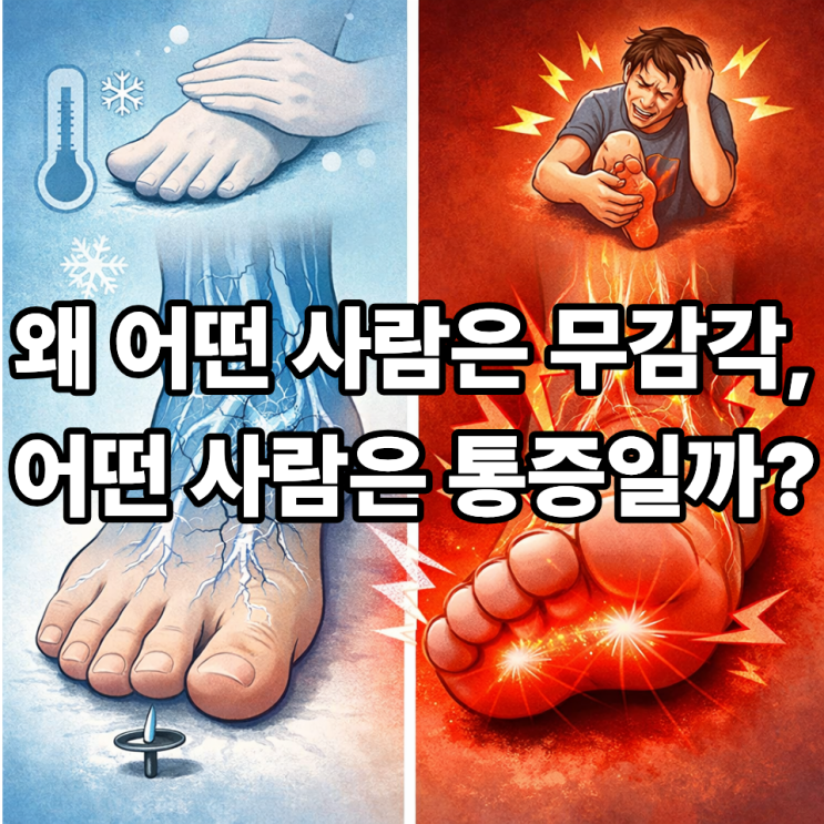   샤르코마리투스병과 감각 저하, 통증은 왜 다를까? 원인부터 관리법까지 정리