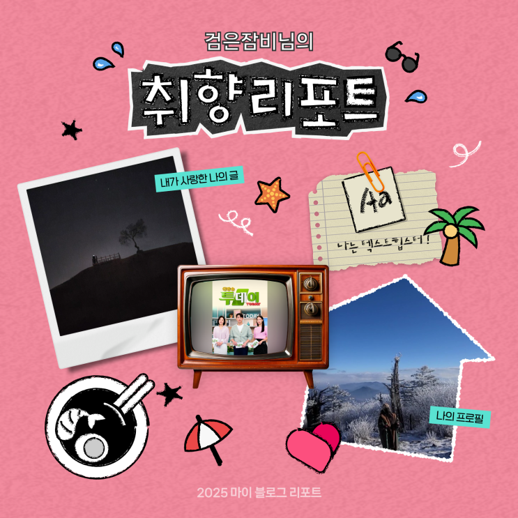  [2025 마이 블로그 리포트] 데이터로 채워보는 내 블로그 취향 리포트