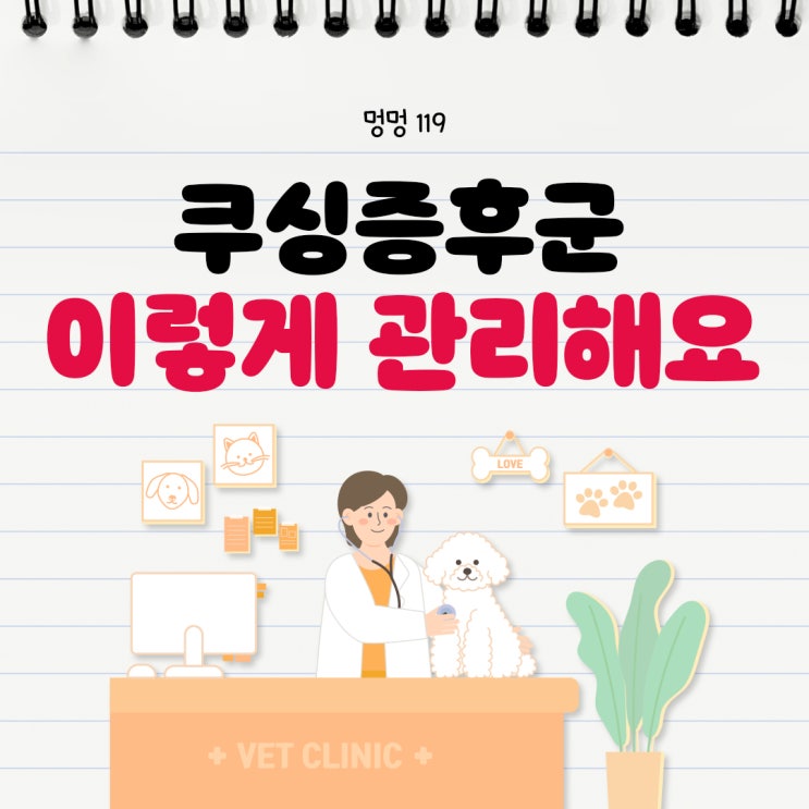  강아지 쿠싱 증후군의 원인과 증상 치료 방법