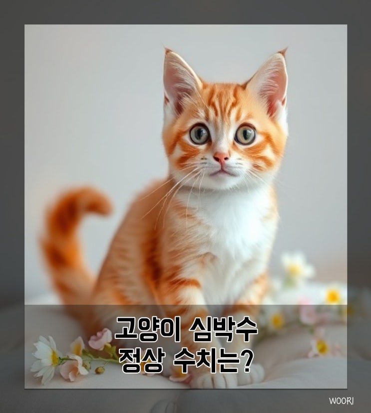  고양이 심박수 정상 수치와 재는법