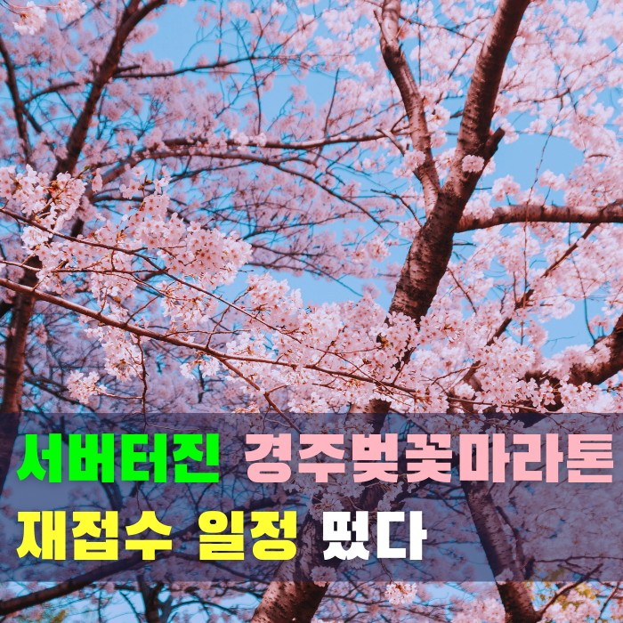 홈페이지 먹통! 2026 제33회 경주 벚꽃 마라톤 대회 재접수 일정