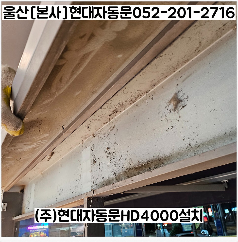 파리바게뜨 울산쌍용아진점 사진 4