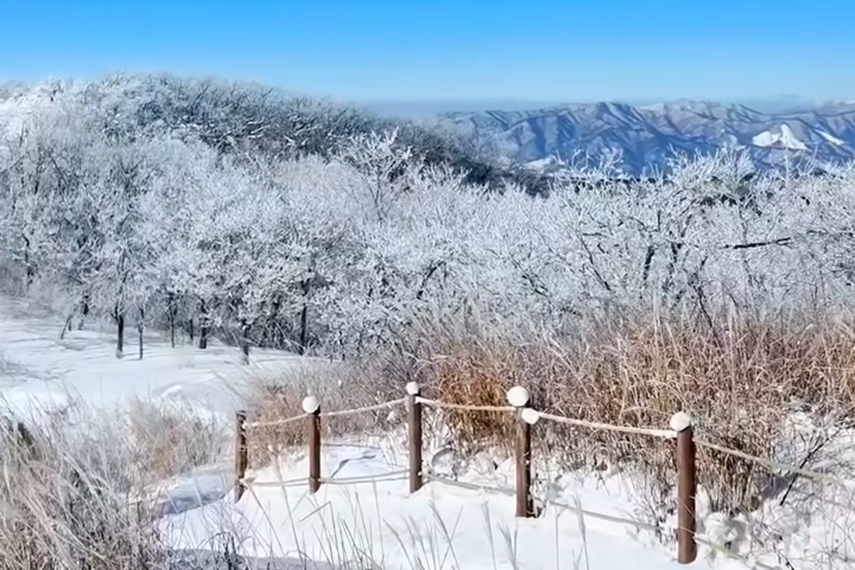 전북천리길 장수 장수(장안산) 마실길 사진 3