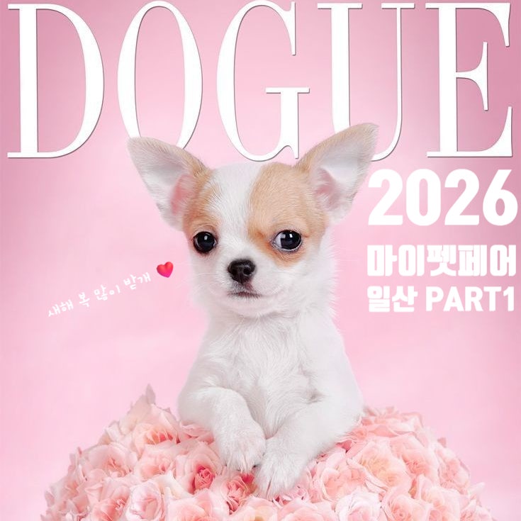  2026 마이펫페어 일산 part1 반려인 필수 펫페어