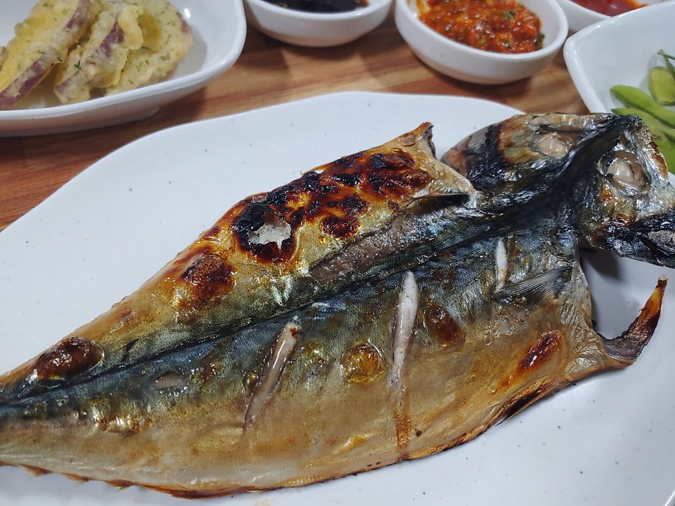 섬산오징어 사진 5