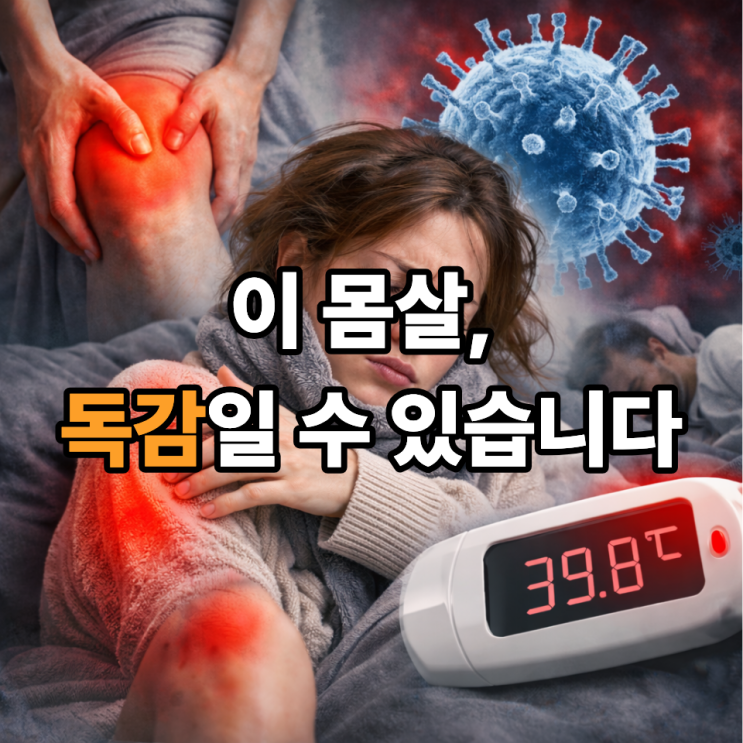  A형독감 근육통이 유독 심한 이유｜몸살 감기와 결정적 차이