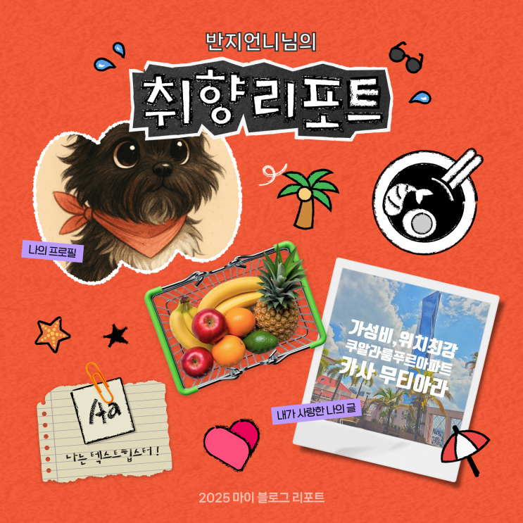  [2025 마이 블로그 리포트] 데이터로 채워보는 내 블로그 취향 리포트