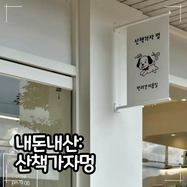 사진 4