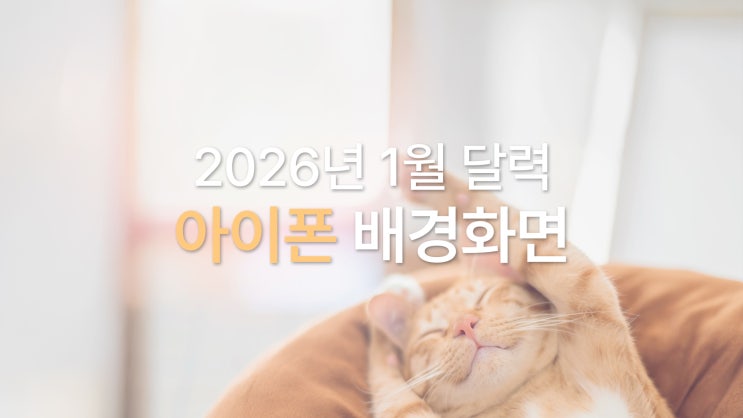 2026년 1월 달력 아이폰 배경화면｜겨울 감성 잠금 화면 심플 9종