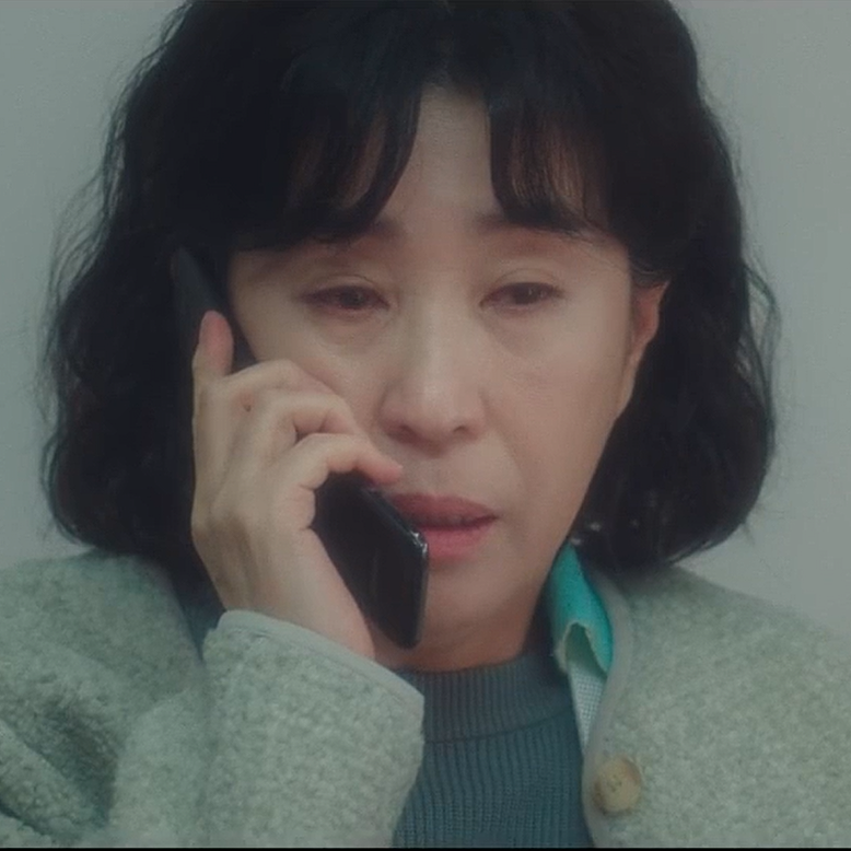 드라마 엄마 역 대명사 배우 김미경, 프로필 필모(ft. 경도를 기다리며)