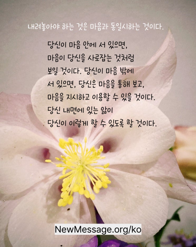 마음과 동일시하는 것