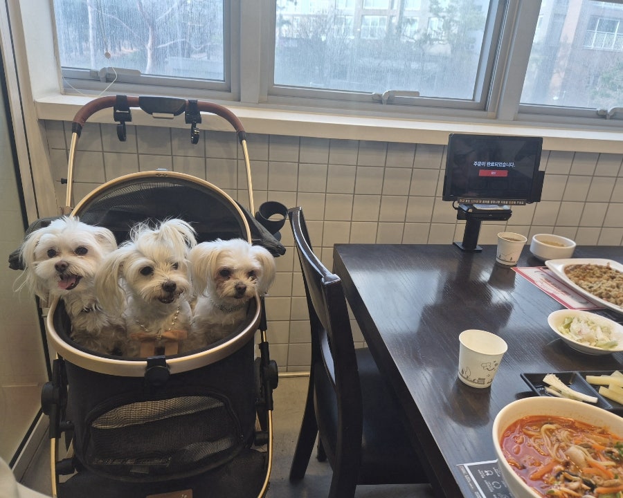 이비가짬뽕 오산세교점 사진 5