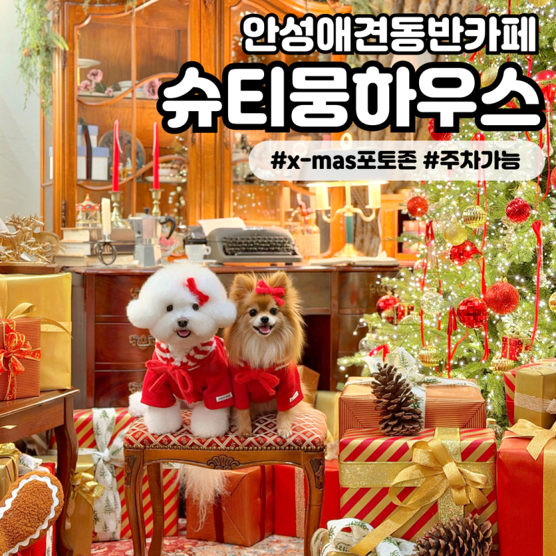 사진 5