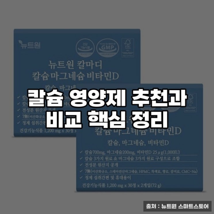 칼슘 영양제 추천과 비교 핵심 정리