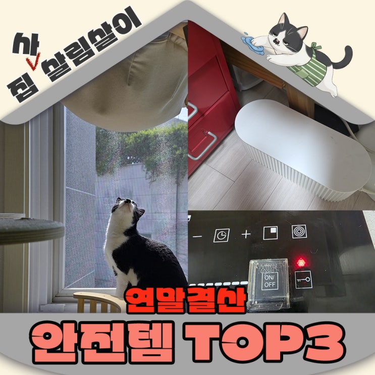  2025년 연말결산 이거없었음 어쩔뻔 고양이집 안전템 TOP3