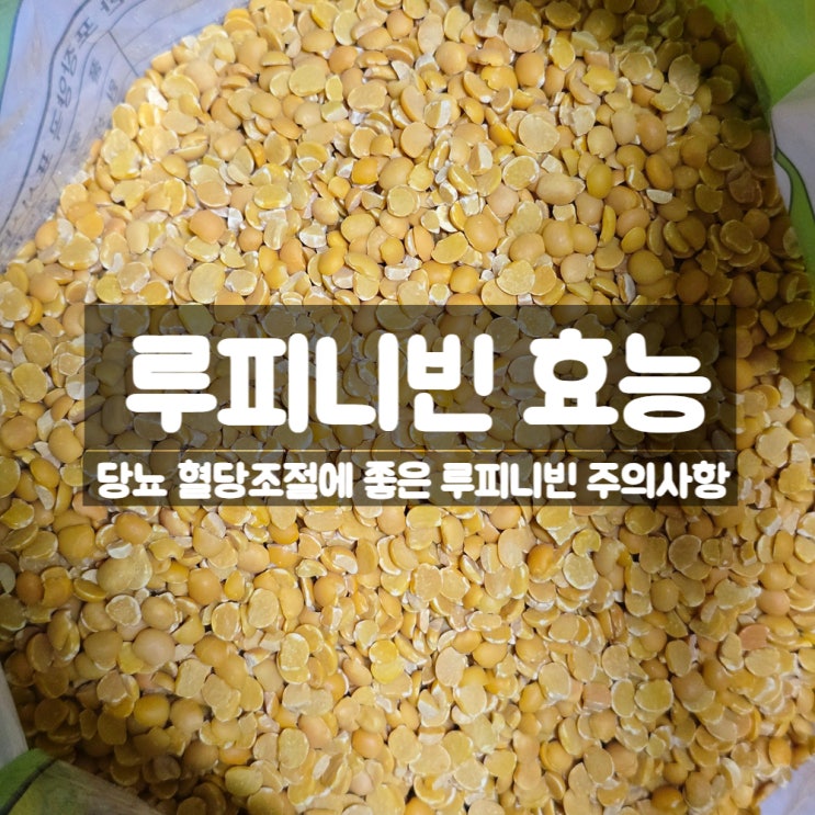  루피니빈 효능 부작용 먹는법 – 당뇨 혈당관리에 좋은 콩