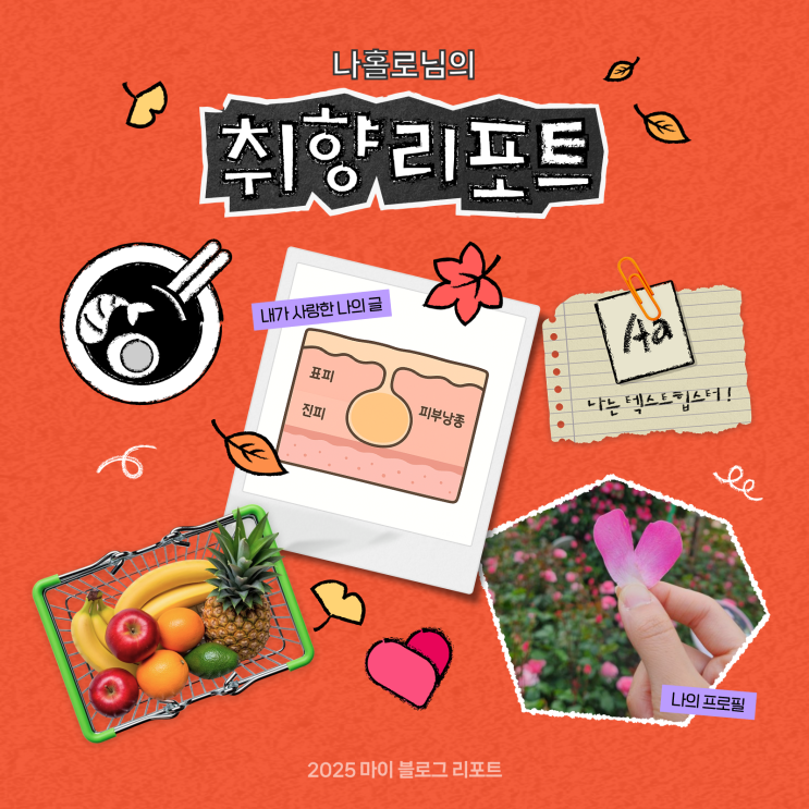  [2025 마이 블로그 리포트] 데이터로 채워보는 내 블로그 취향 리포트