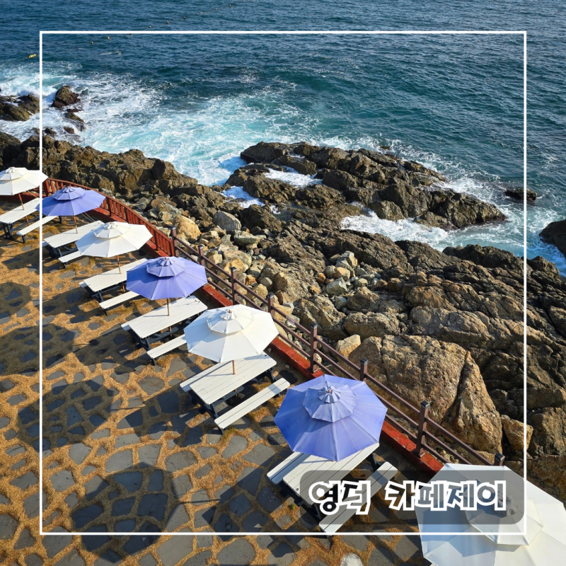 사진 3