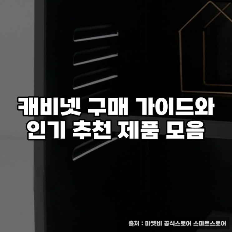  캐비넷 구매 가이드와 인기 추천 제품 모음