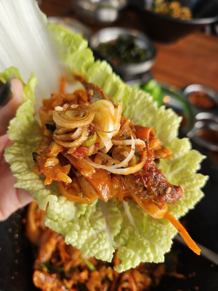  제주노형동맛집 점심식사 혼밥도 가능한 낙지와 쭈꾸미