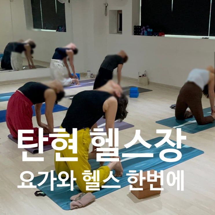  탄현 헬스장 요가와 헬스까지 총정리