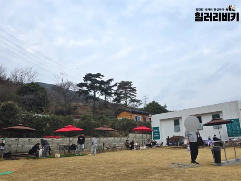 사진 5