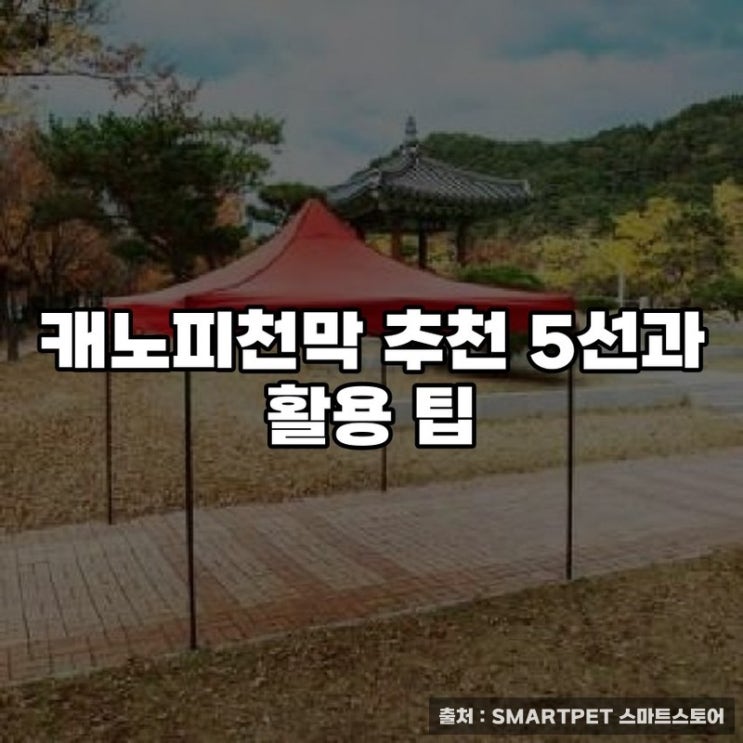  캐노피천막 추천 5선과 활용 팁