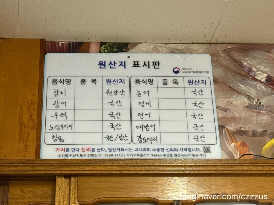 회뜨는아지야 사진 3