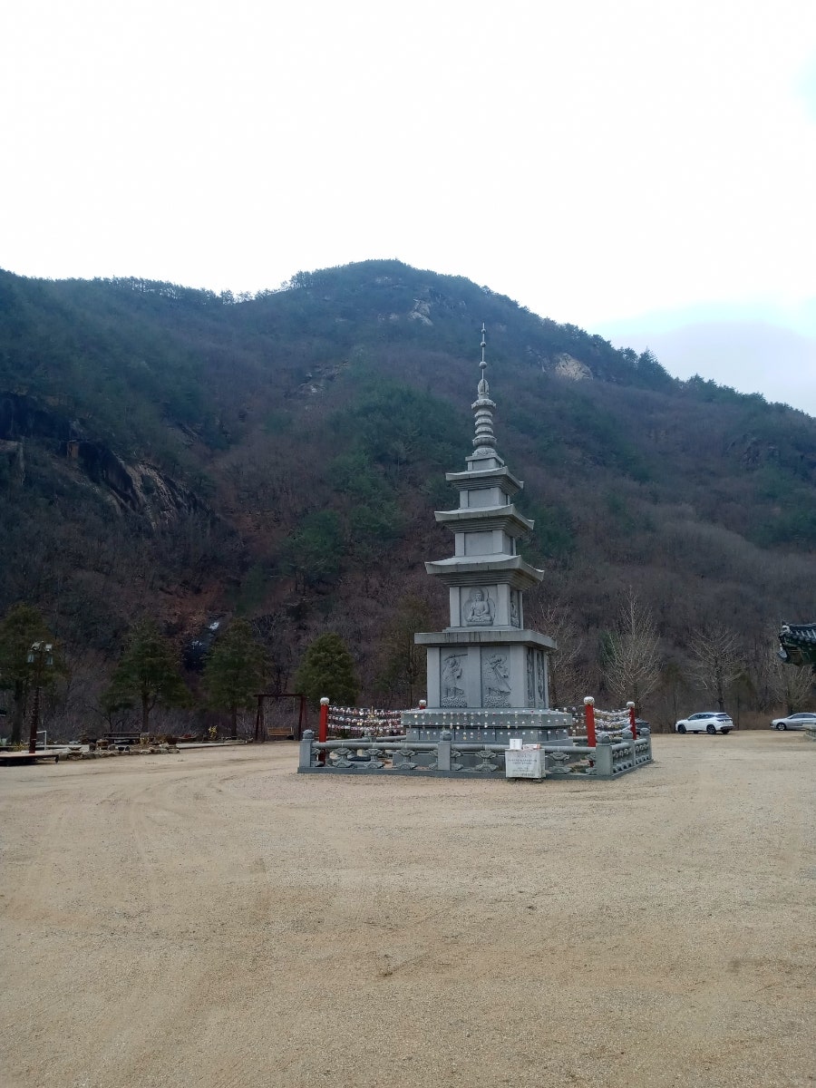 보상재 사진 3