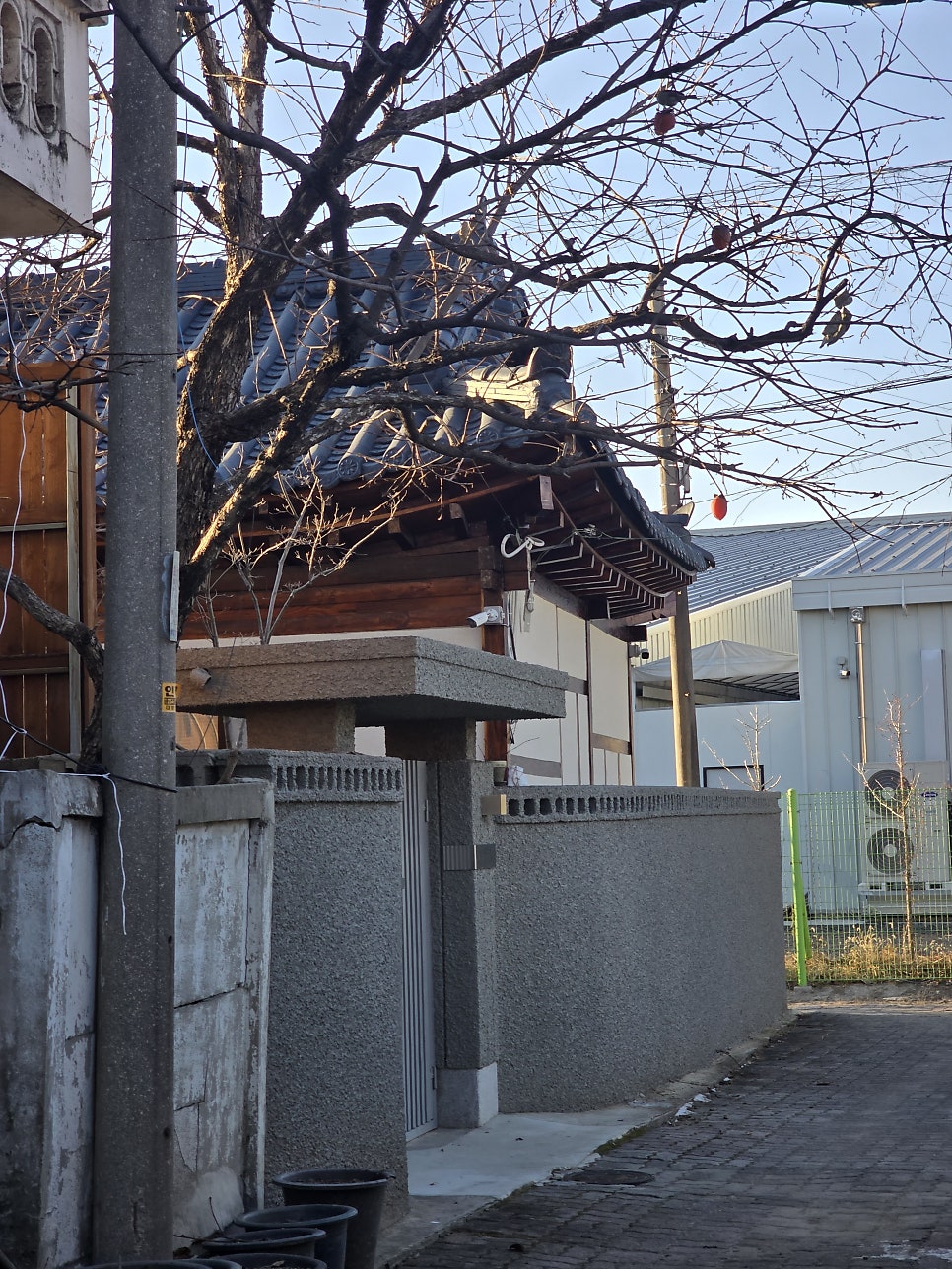 Seuteisohyang photo 2