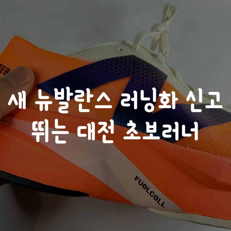  새 뉴발란스 퓨어셀 레벨 V4 러닝화 신고 뛰는 대전 초보 러너 이야기