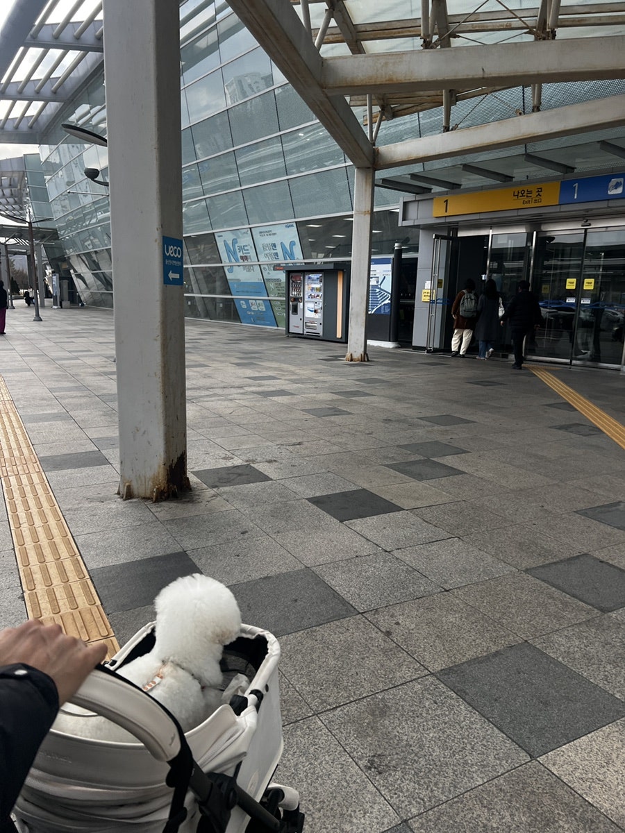 던킨 울산언양점 사진 3
