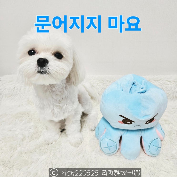 무너질 것 같을 때 토닥토닥 마음에 위로가 되는 노래