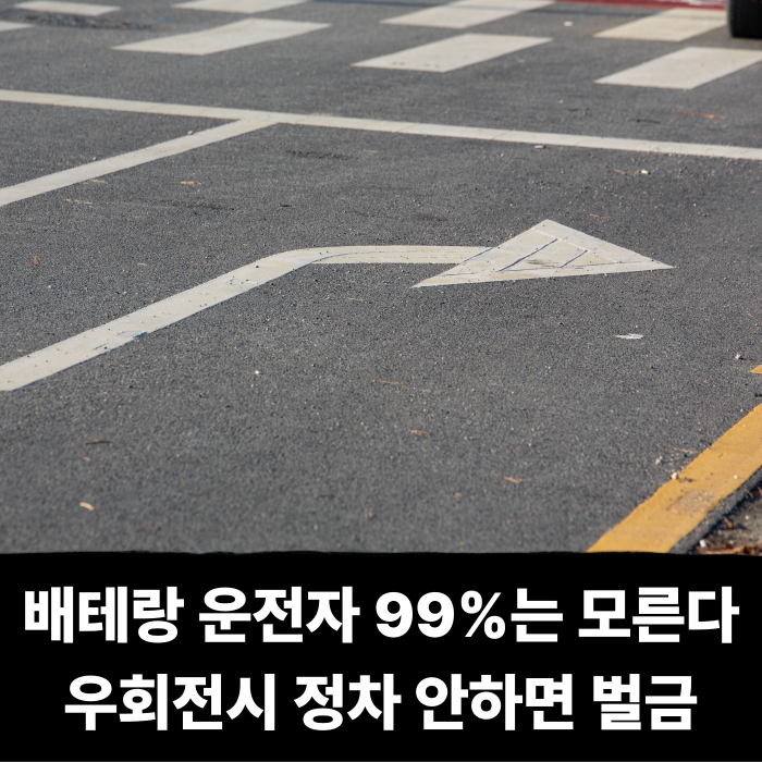  베테랑 운전자도 99%는 모른다? 우회전시 정차 안하면 당하는 벌금