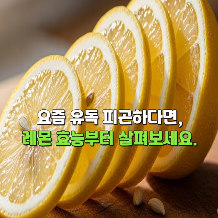  요즘 유독 피곤하다면, 레몬효능부터 살펴보세요.