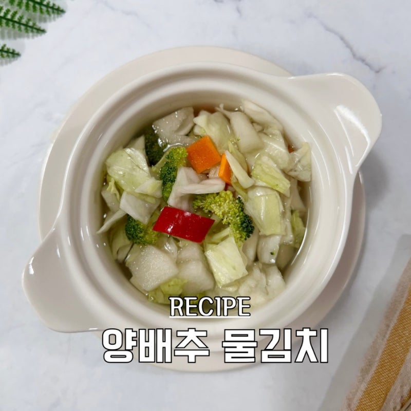 양배추 물김치 담그는 법 | 푸드닥터 마스터 클래스 면역력 높이는 음식 레시피