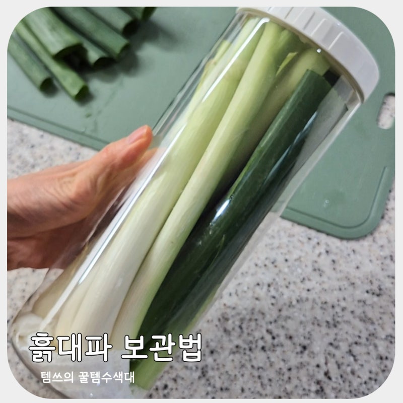 대파 보관법 총정리｜실온·냉장·대파 냉동보관법까지 한 번에